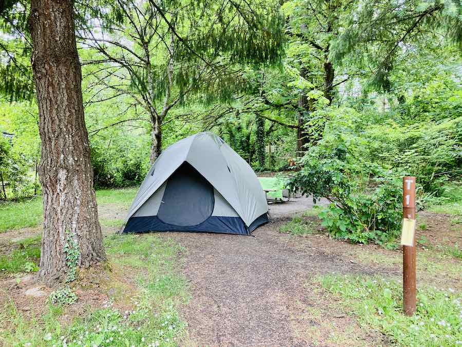 tent site at Champoeg Park: campsite photo T1 site